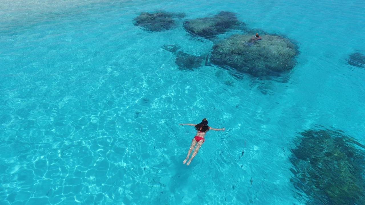 Thoddoo Beach Holiday المظهر الخارجي الصورة