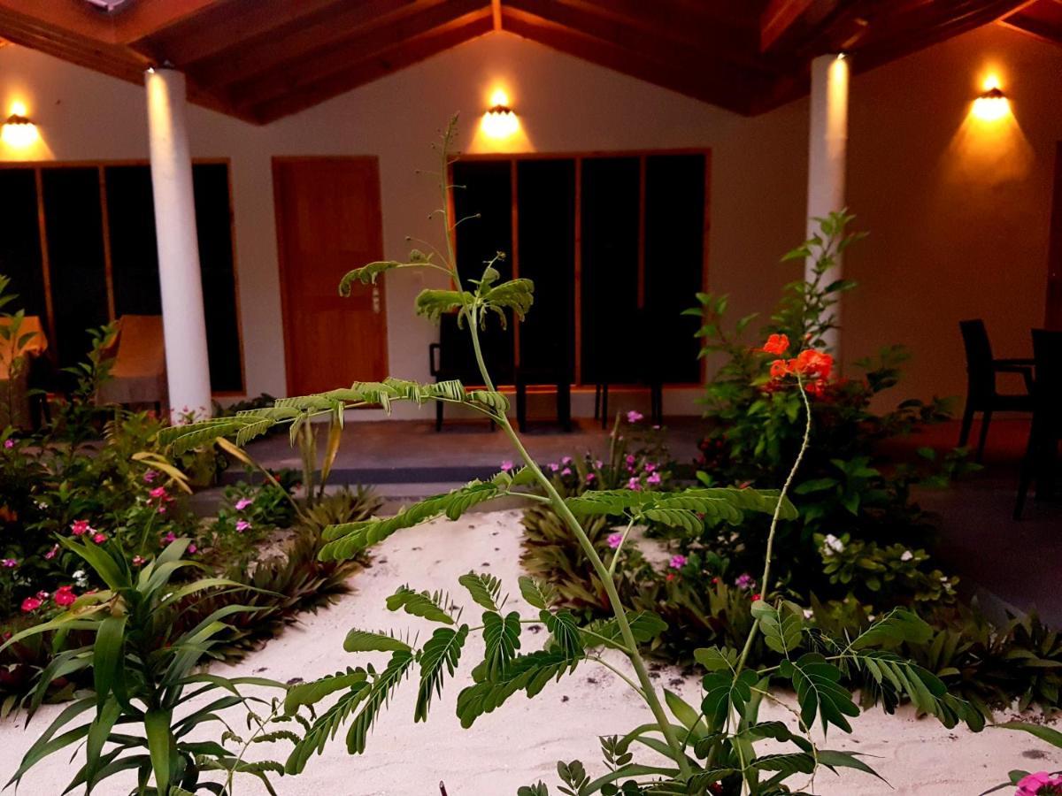 Thoddoo Beach Holiday المظهر الخارجي الصورة