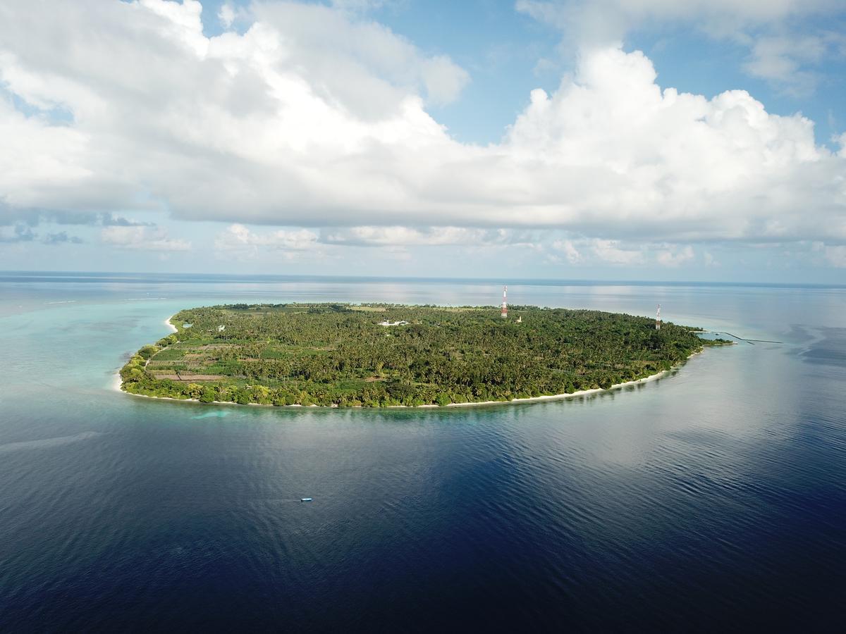 Thoddoo Beach Holiday المظهر الخارجي الصورة