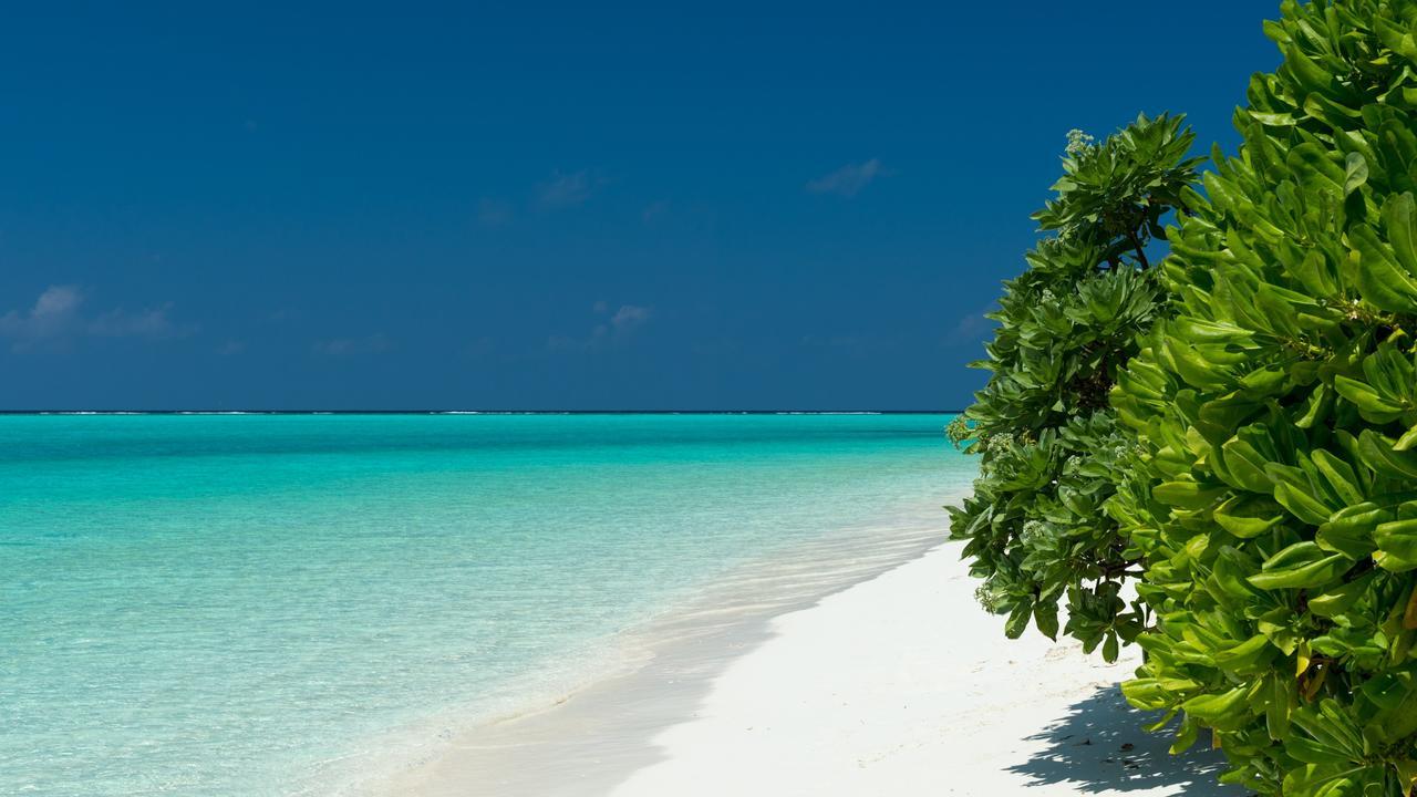 Thoddoo Beach Holiday المظهر الخارجي الصورة