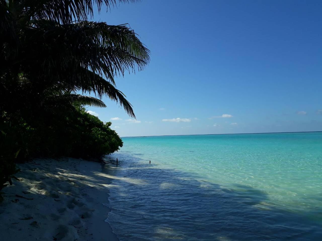 Thoddoo Beach Holiday المظهر الخارجي الصورة