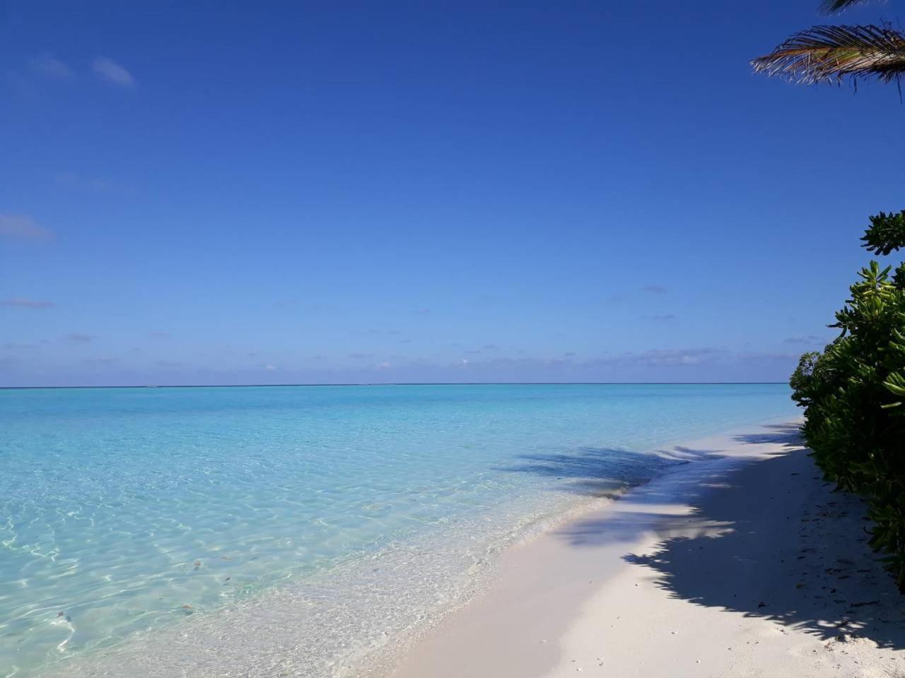 Thoddoo Beach Holiday المظهر الخارجي الصورة